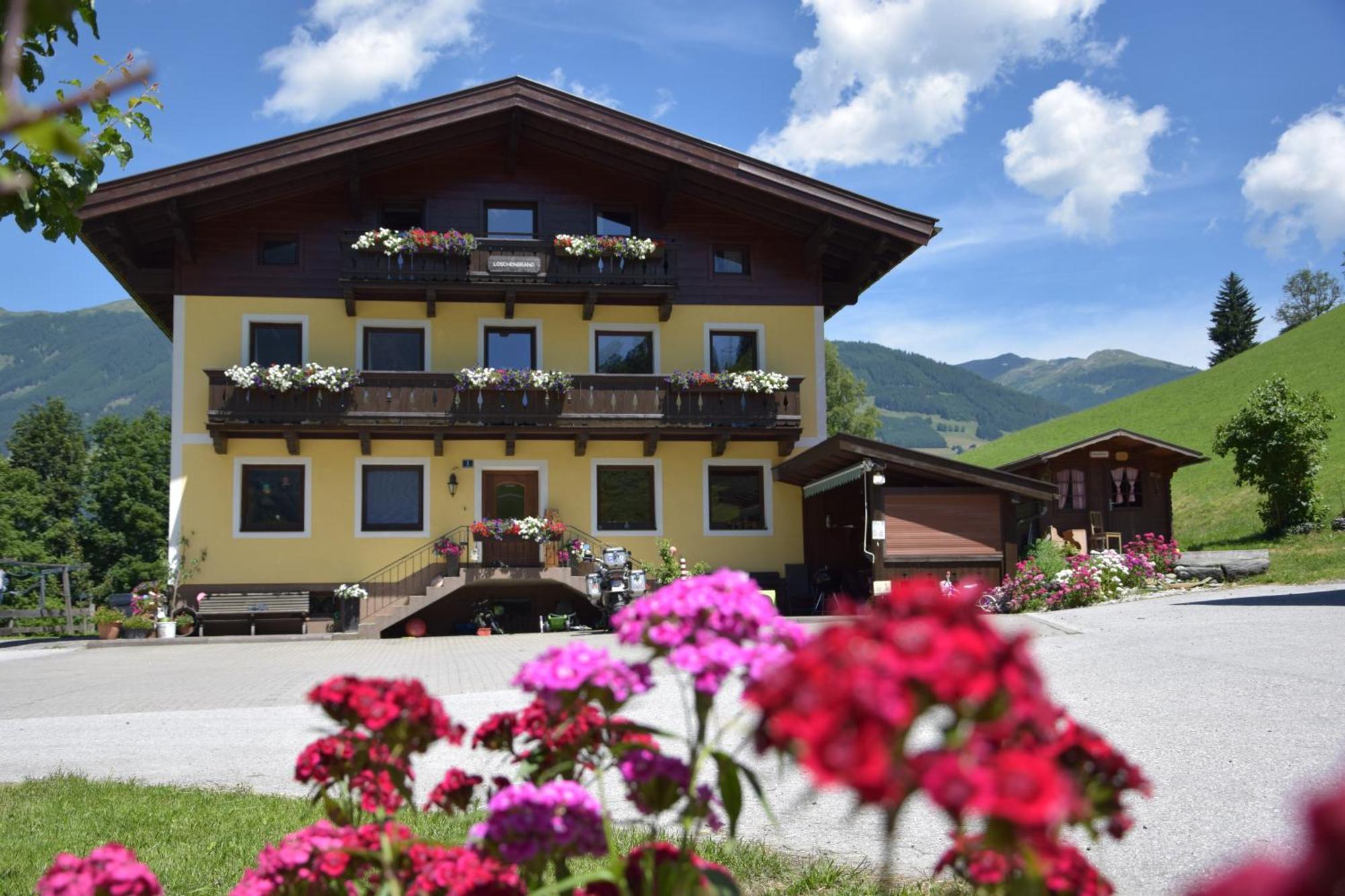 Apartament Loeschenbrandhof Mittersill Zewnętrze zdjęcie